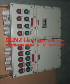 Bxq系列防爆电磁起动配电箱与工业插头的应用与优势